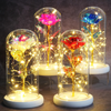 Led Light Glass Cover Rose Flower Micro Landscape