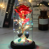 Led Light Glass Cover Rose Flower Micro Landscape