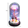 Led Light Glass Cover Rose Flower Micro Landscape