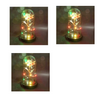 Led Light Glass Cover Rose Flower Micro Landscape