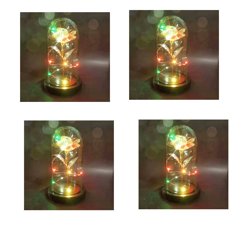 Led Light Glass Cover Rose Flower Micro Landscape