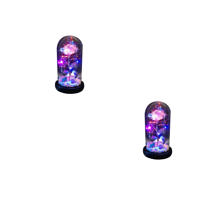 Led Light Glass Cover Rose Flower Micro Landscape