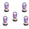 Led Light Glass Cover Rose Flower Micro Landscape