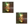 Led Light Glass Cover Rose Flower Micro Landscape