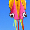 3D 4M Large Octopus Kite with Handle Line Children Outdoor Summer Game Professional Stunt Software Power Beach Kite Kids Toy